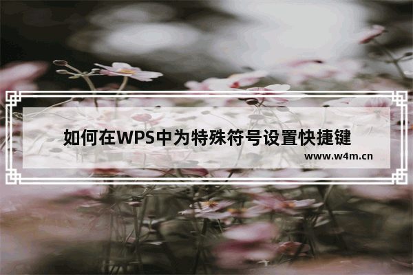 如何在WPS中为特殊符号设置快捷键