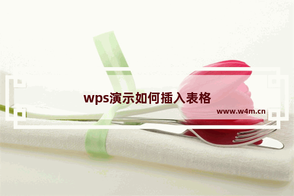 wps演示如何插入表格