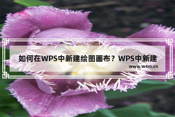 如何在WPS中新建绘图画布？WPS中新建绘图画布方法