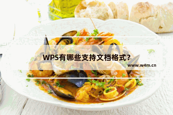 WPS有哪些支持文档格式？