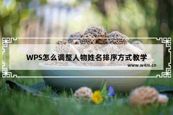 WPS怎么调整人物姓名排序方式教学