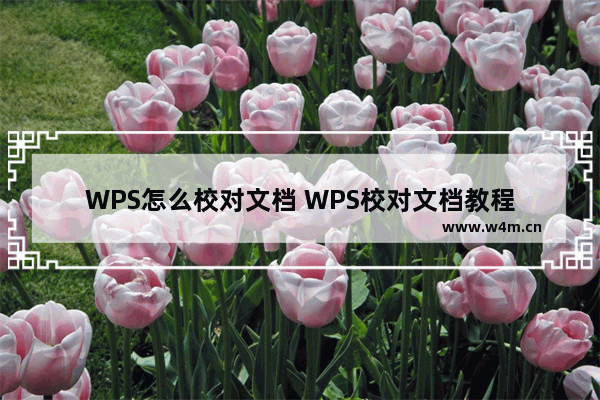 WPS怎么校对文档 WPS校对文档教程