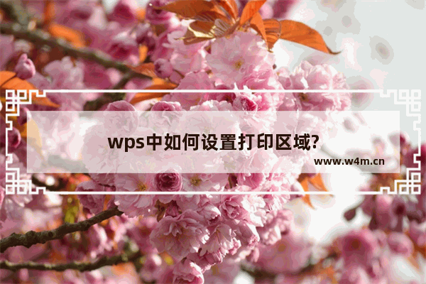 wps中如何设置打印区域?