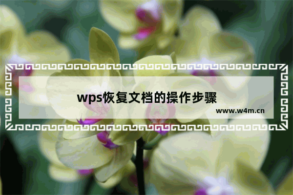 wps恢复文档的操作步骤