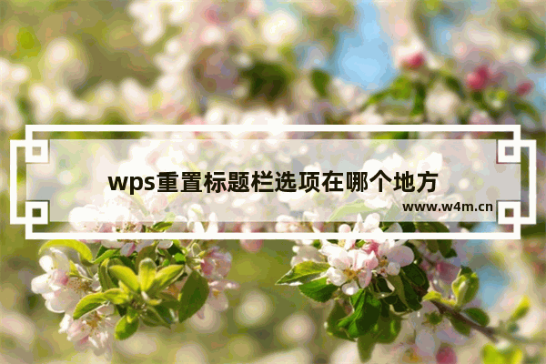 wps重置标题栏选项在哪个地方