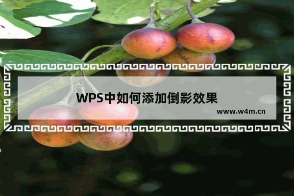 WPS中如何添加倒影效果