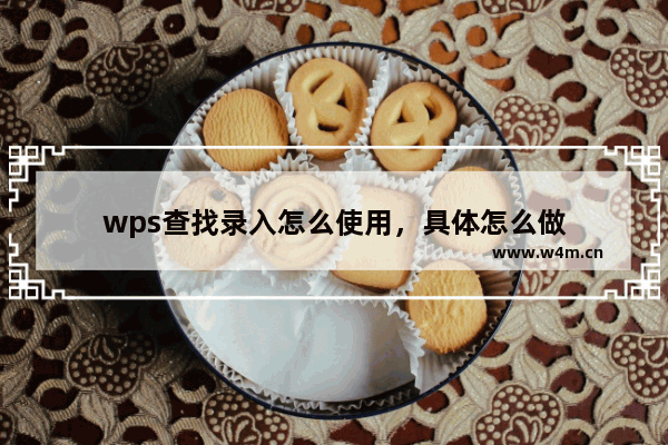 wps查找录入怎么使用，具体怎么做