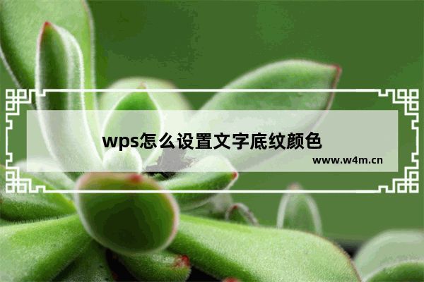 wps怎么设置文字底纹颜色