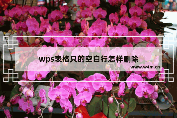 wps表格只的空白行怎样删除