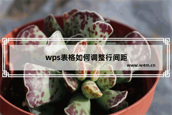 wps表格如何调整行间距