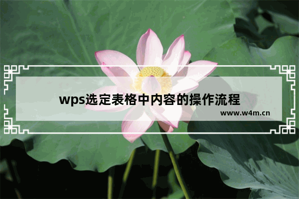 wps选定表格中内容的操作流程