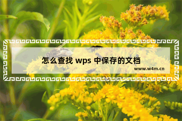 怎么查找 wps 中保存的文档