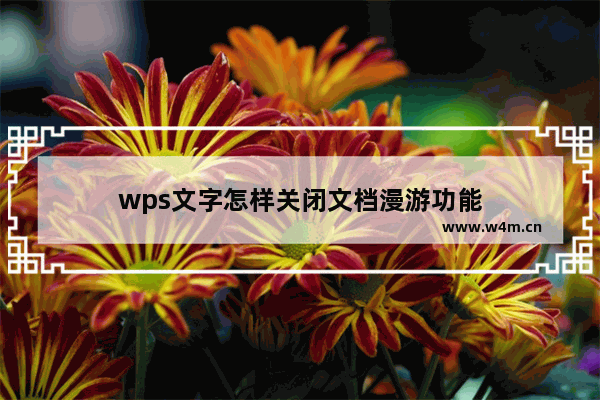 wps文字怎样关闭文档漫游功能