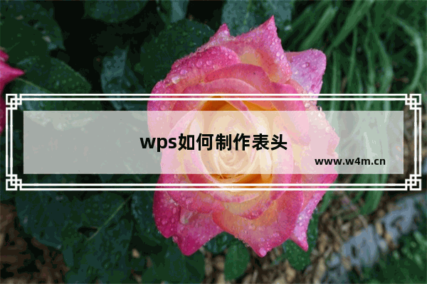 wps如何制作表头