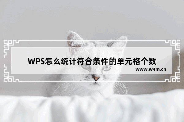 WPS怎么统计符合条件的单元格个数