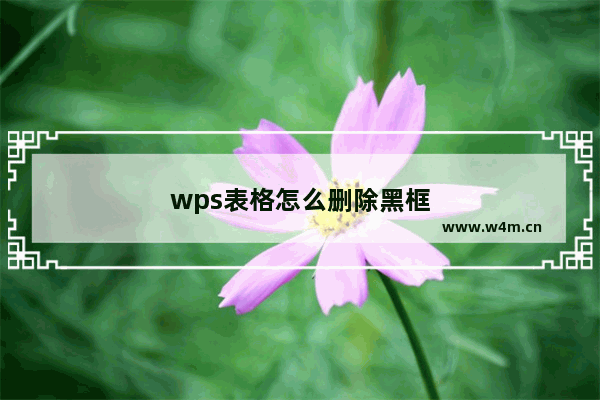 wps表格怎么删除黑框