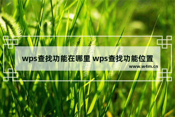 wps查找功能在哪里 wps查找功能位置介绍