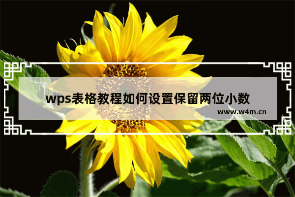 wps表格教程如何设置保留两位小数