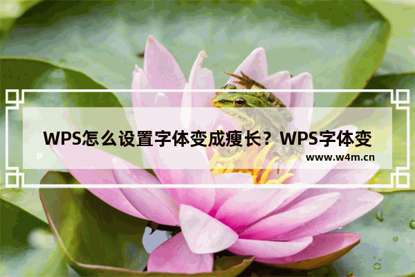 WPS怎么设置字体变成瘦长？WPS字体变成瘦长设置方法