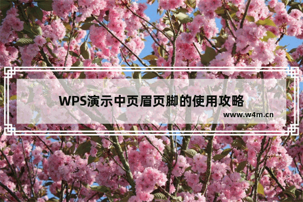 WPS演示中页眉页脚的使用攻略