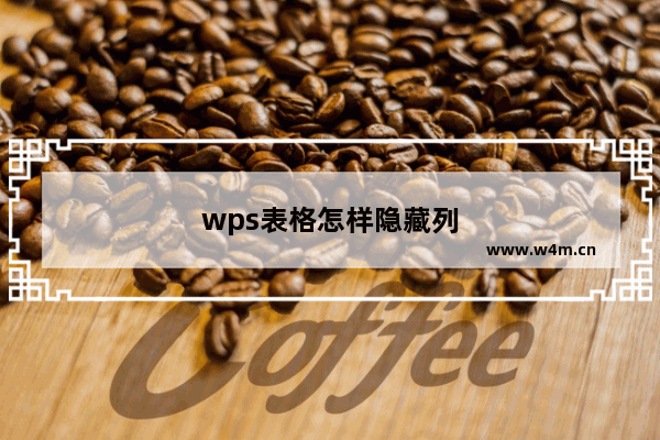 wps表格怎样隐藏列