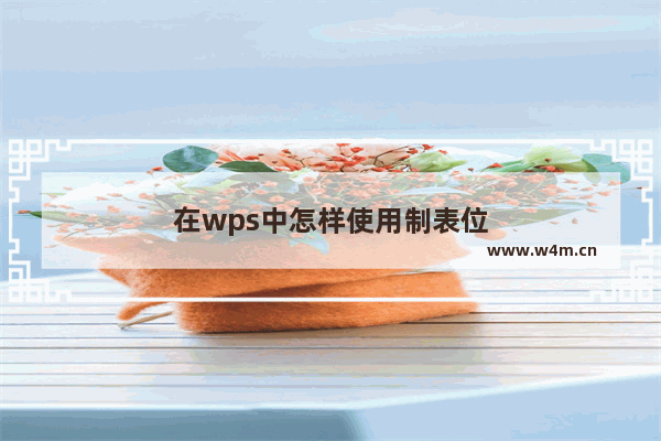 在wps中怎样使用制表位