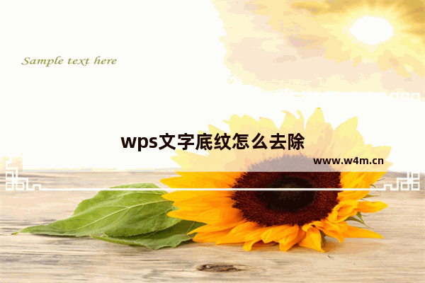 wps文字底纹怎么去除