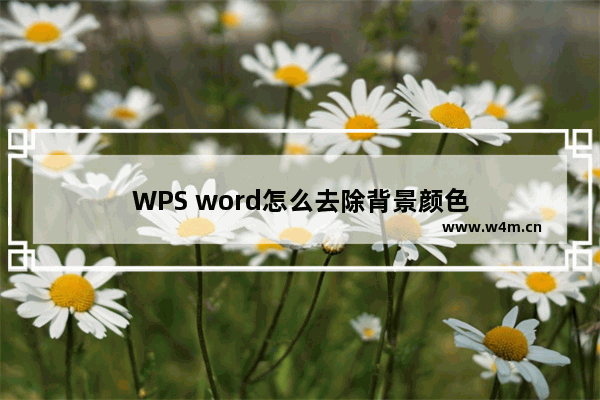 WPS word怎么去除背景颜色