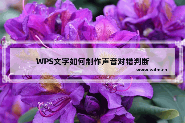 WPS文字如何制作声音对错判断