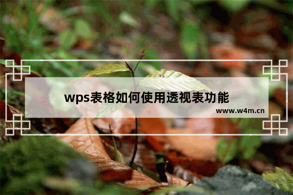 wps表格如何使用透视表功能