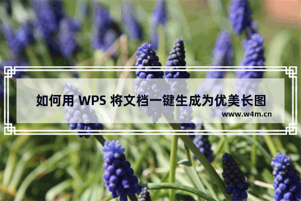 如何用 WPS 将文档一键生成为优美长图