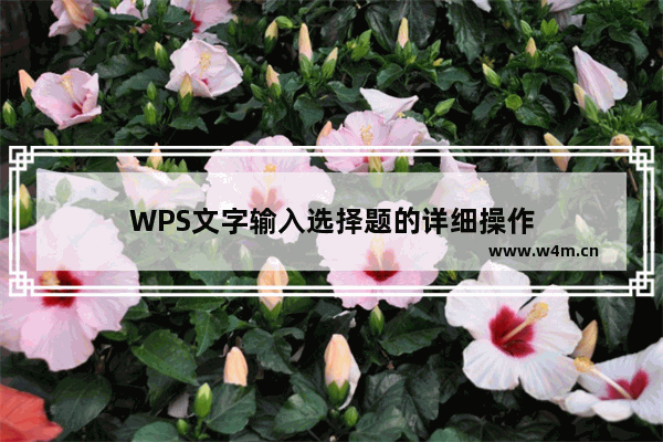 WPS文字输入选择题的详细操作