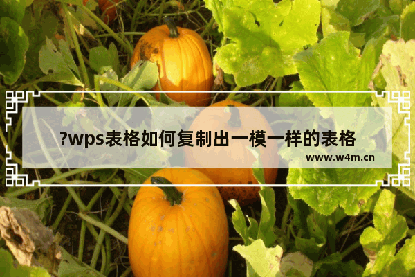 ?wps表格如何复制出一模一样的表格