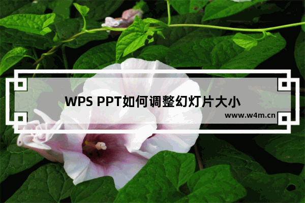 WPS PPT如何调整幻灯片大小