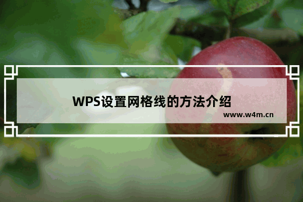 WPS设置网格线的方法介绍