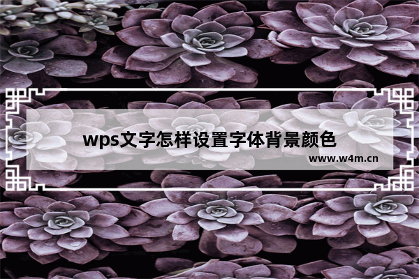 wps文字怎样设置字体背景颜色