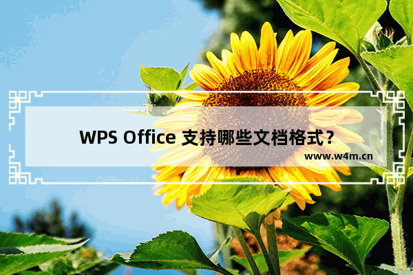 WPS Office 支持哪些文档格式？