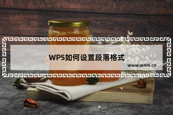 WPS如何设置段落格式