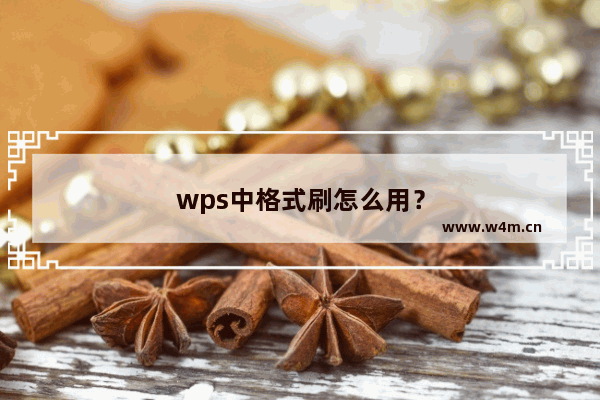 wps中格式刷怎么用？