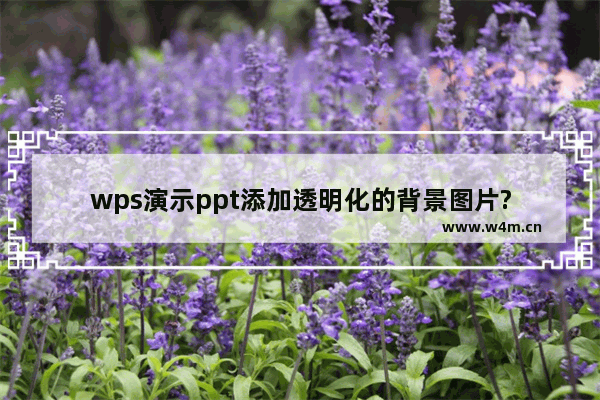 wps演示ppt添加透明化的背景图片?