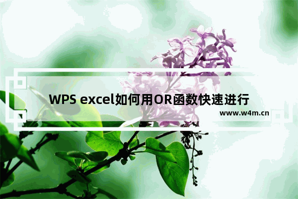 WPS excel如何用OR函数快速进行逻辑判断