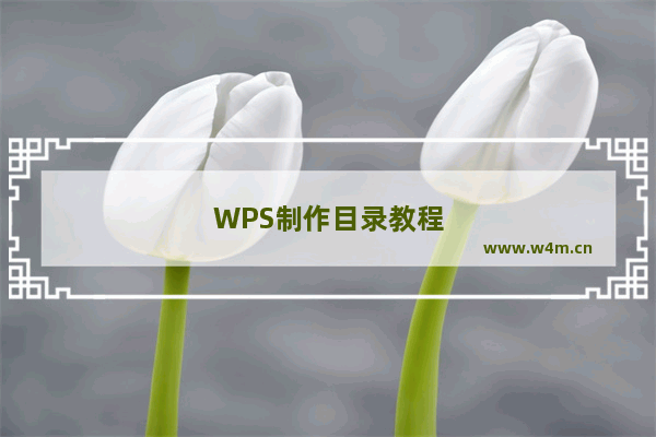 WPS制作目录教程