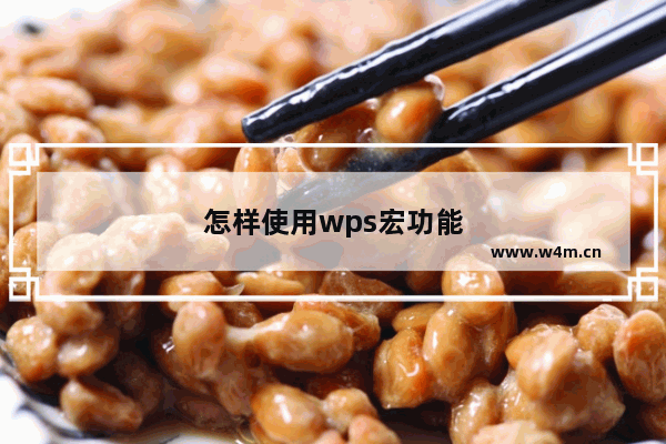 怎样使用wps宏功能