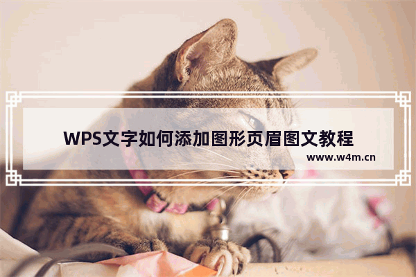 WPS文字如何添加图形页眉图文教程