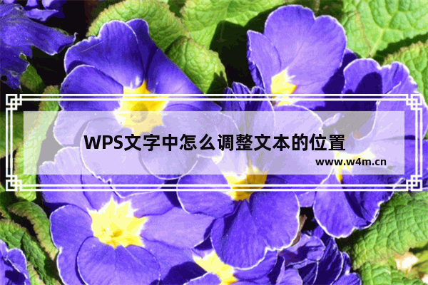 WPS文字中怎么调整文本的位置