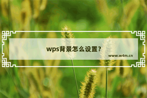 wps背景怎么设置？