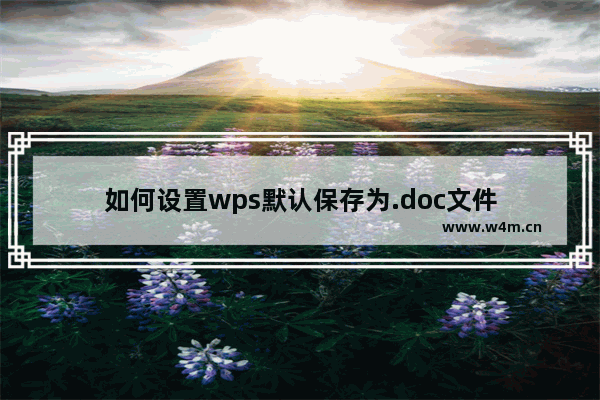 如何设置wps默认保存为.doc文件