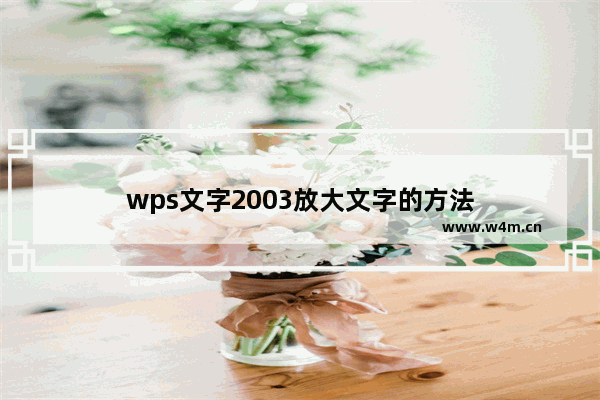 wps文字2003放大文字的方法