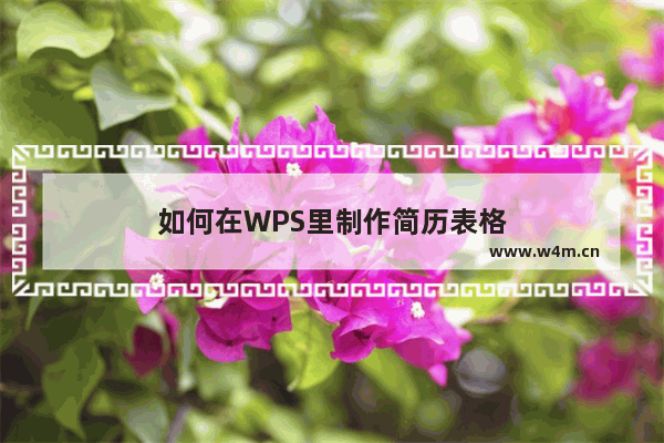 如何在WPS里制作简历表格