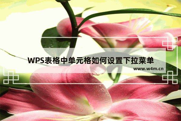 WPS表格中单元格如何设置下拉菜单